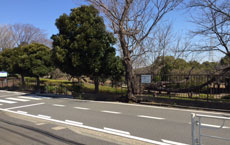 写真：店舗近隣