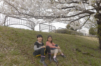 写真：ソリスライダー